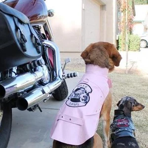 Biker Dawg Dog Pink Motorcycle Jacket sizes - XS-3XL - Picture 1 of 8