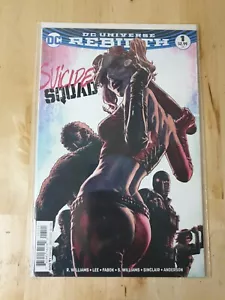 Suicide Squad Volume 5 #1 First Printing Lee Bermejo Variant DC Comics 2016 - Picture 1 of 2