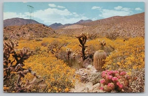 Foto de Wildflowers of Southwest por Al Taylor Postal - Imagen 1 de 2