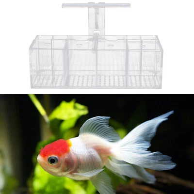 Aquaponic Fish Tank 4-Grid Desktop Fish Tank Rectangle Acrylic Betta Fish Tank - Image 1 of 4