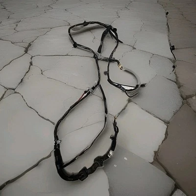 2003-05 Kia Rio Porta Traseira Porta Elevatória Fiação de Fio OEM Completo - Imagem 1 de 4