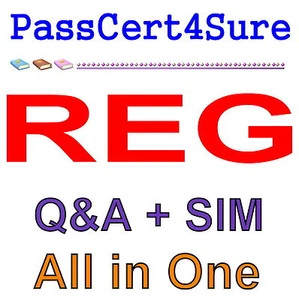 AICPA CPA Regulation REG Exam Q&A+SIM - Picture 1 of 1