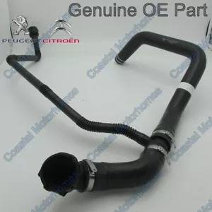 Fits Peugeot Boxer Citroen Relay Lower Radiator Hose 2.0 2.2 HDI 2014 - On - Picture 1 of 5