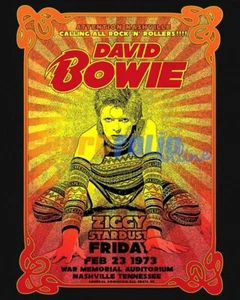 1973 UK Singer DAVID BOWIE Glossy 8x10 Photo Rock Print Ziggy Stardust Poster - Picture 1 of 1
