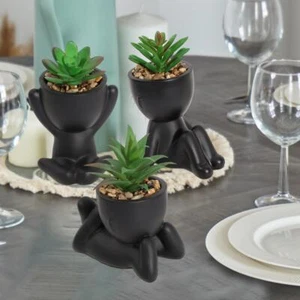 Xiya Flower Artificial Aloe Potted Plant Black Miniature Character Pot Fake Pott - Picture 1 of 27