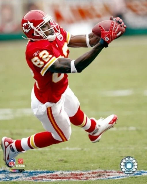 Foto con licencia 8 X 10 de Dwayne Bowe Kansas City Chiefs AAIU247 Foto 1 de 1