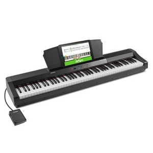 Alesis Recital Grand - Digital Piano 88 Weighted Keys with Hammer Action - Picture 1 of 6