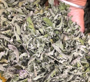 Farm FRESH~Organic Dried Whole Herb HORSEMINT~Powerful Medicinal!Antispasmodic - Picture 1 of 5