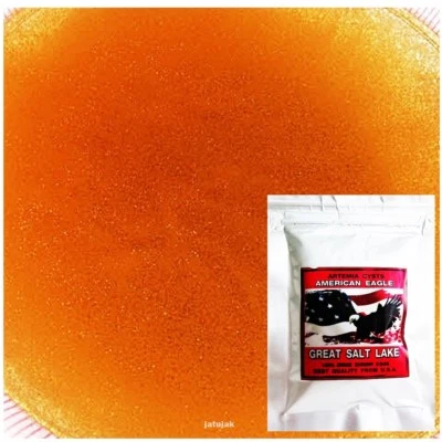 AMERICAN EAGLE Eggs Brine Shrimp Artemia Cyst From USA Best Quality 50g