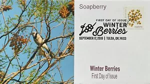 Romp Cachets 5418 Winterbeeren Seifenbeere Vogel Spruch Abbrechen Tulsa OK - Bild 1 von 1