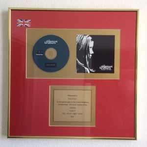 THE CHEMICAL BROTHERS ‘DIG YOUR OWN HOLE’ GOLD SALES AWARD 1997 + CD - Picture 1 of 2