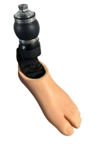 Össur Pro-Flex XC Torsion Prothese C6 S25L (PXT0625L) Linker Fuß # - Bild 1 von 6