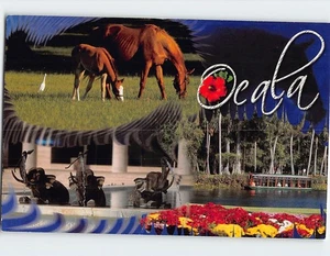 Postcard Ocala Florida USA - Picture 1 of 2