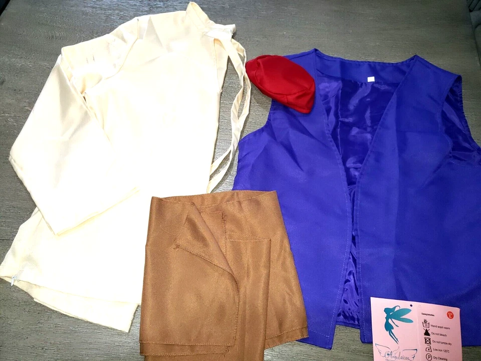 Hombres NUEVO 4 PIEZAS ÁRABE HALLOWEEN DISFRAZ CAMISA SOMBRERO CHALECO FAJA GRANDE púrpura marrón rojo Foto 1 de 1