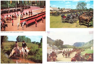 LOTE de 15 postales con caballos en Work & Play, Reino Unido, EE. UU., Can & Eire: correo de EE. UU. $3,60 - Imagen 1 de 4