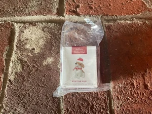 Adorno HALLMARK 2025 ~ CACHORRO FESTIVO Mini adorno exclusivo para miembros KOC NUEVO EN CAJA - Imagen 1 de 8