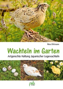 Wachteln im Garten Artgerechte Haltung Japanischer Legewachteln Nina Dittmann - Bild 1 von 9