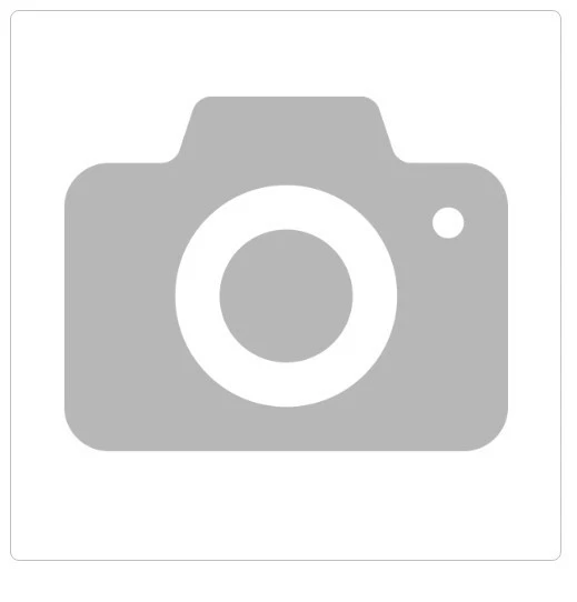 RICAMBIOPORTA FREEZER STANDARD ARGENTO 595X801 ARISTON INDESIT C00273102 - Immagine 1 di 1