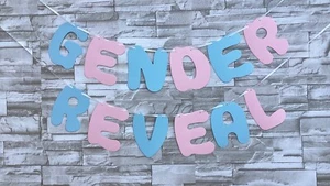 Baby Shower Gender Reveal Banner Party Bunting - Picture 1 of 5