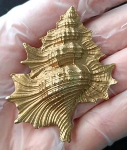 Vintage MOSELL MUSCHEL Muschel BROSCHE Anstecknadel goldfarben Nachlass Schmuck - Bild 1 von 6