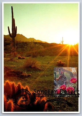 #3293g Sonoran Desert Dessert Cottontail FDC Maxi Card w/Pictorial Cancel - Image 1 of 2