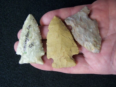 3 PUNTOS AUTÉNTICOS COLORIDOS DE KENTUCKY Foto 1 de 4