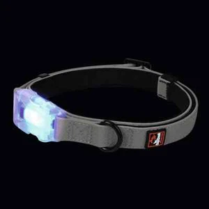 Dogs Creek Leuchthalsband Polar Light 34-41cm Grau - Bild 1 von 3