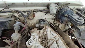 1981 1984 Dodge Ram W250 Ignition Distributor Oem 5.2l 3755202 - Picture 1 of 5