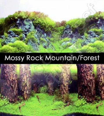 UNDERWATER TREASURES Mossy Rock Mountain/Underwater Forest 24" Aquarium Background
