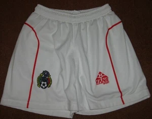 Federacion Mexicana de Futbol Soccer Shorts Youth Size 14 Vane Sport Mexico - Picture 1 of 3