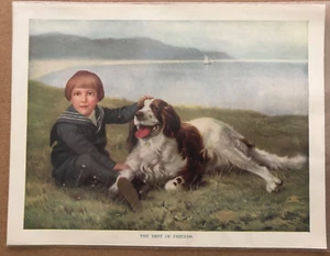 Vintage KUNSTDRUCK Litho Kalender Best of Friends Junge Hund ENGLISCH SPRINGER #210 - Bild 1 von 3