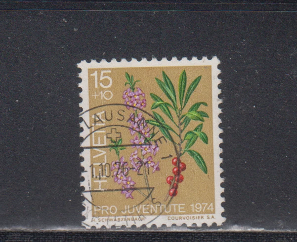 SWITZERLAND : 1974 - USED - SCOTT # B426   SEMI-POSTAL  FLOWERS - Image 1 of 1