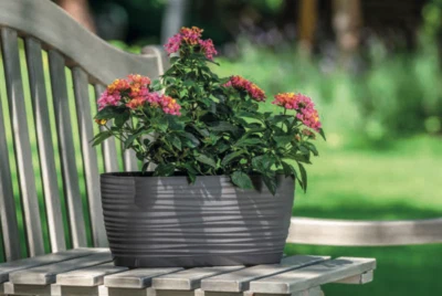 Übertopf 3D Wellen Oval Blumentopf Garten Fensterbrett (3 Farben;2 Größen) - Bild 1 von 3