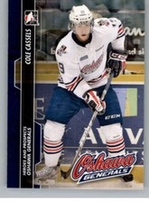 2013-14 ITG Heroes and Prospects Hockey Trading Cards Pick From List