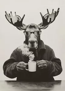 Moose Drinking Coffee - Cute Funny Kitchen Animals - Poster - Picture 1 of 5
