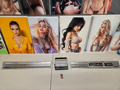 Ford Galaxie 500 1964 moldura del panel del maletero trasero, puerta de gasolina y todos los herrajes Foto 1 de 4