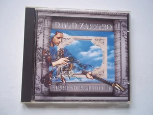 CD DAVID ZAFFIRO - Surrender Absolute - Find My Way, Carousel, Attitude - 1992 - Picture 1 of 6