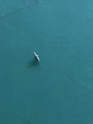 Kasper  Caliber 1200 Balance Staff  New Unused Stock Free Postage. - Image 1 of 2