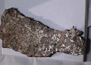 SILVER Plate Slab Fine Mineral Specimen Crystal Cobalt, Ontario, Canada - Picture 1 of 5