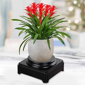 Display Solid Plant Pedestal Wooden Display Stand Round Round Wood Display Base - Picture 1 of 29