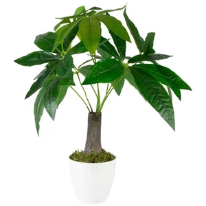 Northlight 18.5" Artificial Guiana Chestnut Plant in White Pot - Picture 1 of 6