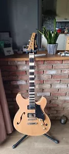 Guitar Rivolta Regata VII ACERO GLOW from Fano guitar + flightcase ES-335 LIKE - Photo 1/7
