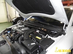BARRA TORRE PUNTAL para 17 18 19 20 ELANTRA AD (& ELANTRA SPORT) [LUXON] - Imagen 1 de 13