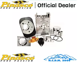 Gruppo Termico Pinasco 26028505 EVOTEN BOOSTER G.T. 46X43mm, SP 12 PIAGGIO SI - Imagen 1 de 7