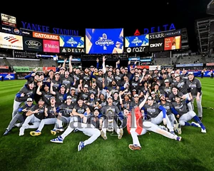 2024 World Series Champs Los Angeles Dodgers Team Picture Color 16 X 20 Photo - Picture 1 of 1