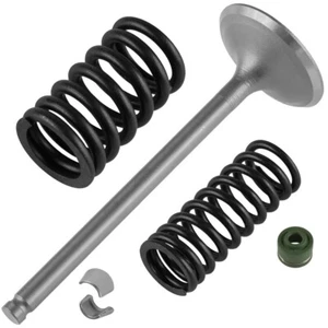 Intake Valve Kit for Honda Recon 250 TRX250 2x4 2002-2009 2011-2014 2016-2022 - Picture 1 of 7