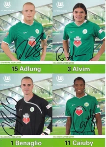 VfL Wolfsburg - Saison 2008/09, 29 Autogrammkarten mit Originalunterschrift! - Picture 1 of 1