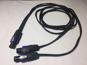 CBI Speaker Y NL4FX Speakon 6ft 4 Pole (+1-1, -2+2 to TWO (1+,1-) Biamp Use! - Picture 1 of 1