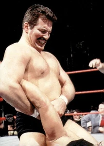 1998 Comic Images WWF Superstarz #42 Dan "the Beast" Severn - Picture 1 of 2