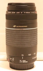 Canon Ultrasonic EF 75-300mm Zoom Lens 1:4-5.6 III - Working - Picture 1 of 8